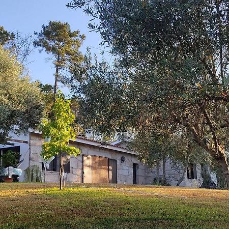 Quinta Da Pedra Mija Pensionat Santar Exteriör bild