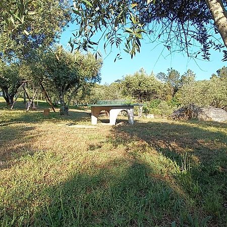 Quinta Da Pedra Mija Pensionat Santar Exteriör bild