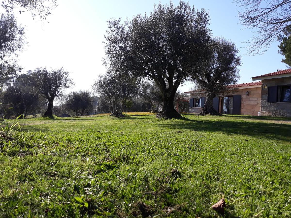 Quinta Da Pedra Mija Pensionat Santar Exteriör bild