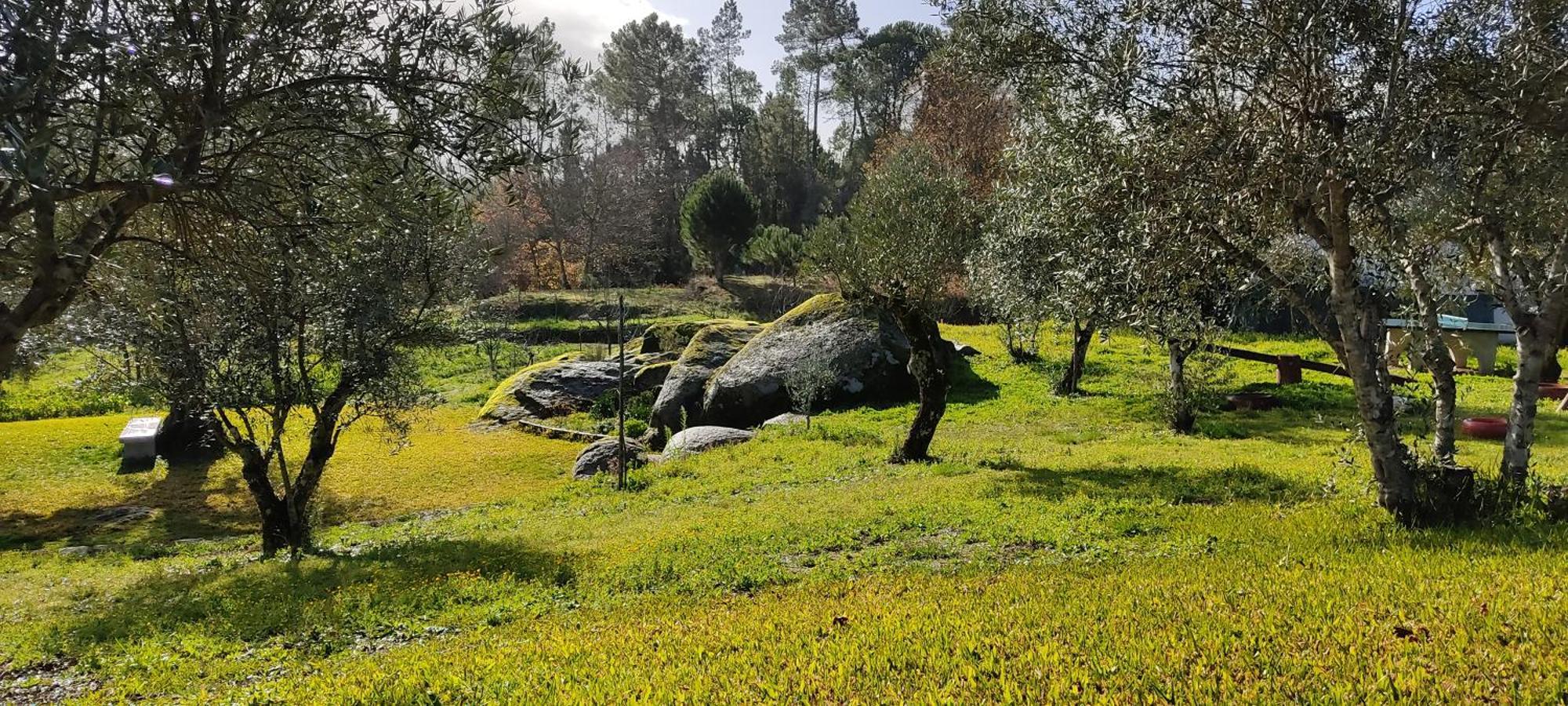 Quinta Da Pedra Mija Pensionat Santar Exteriör bild