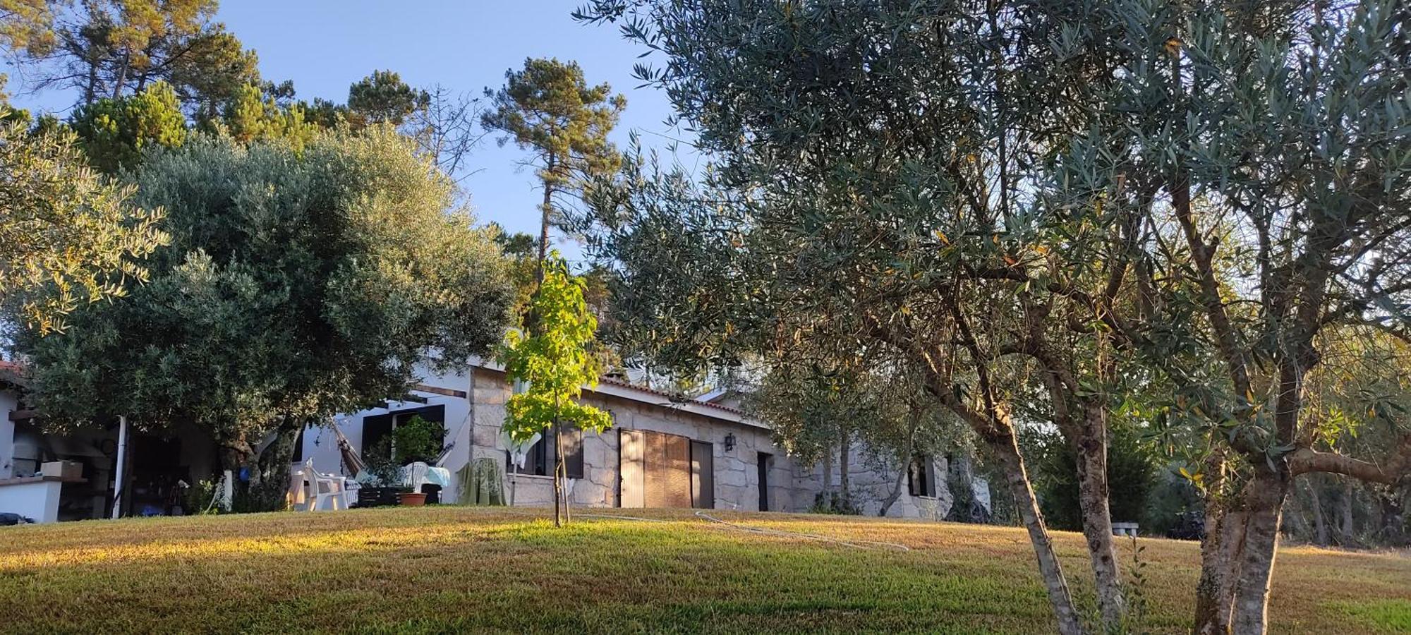Quinta Da Pedra Mija Pensionat Santar Exteriör bild
