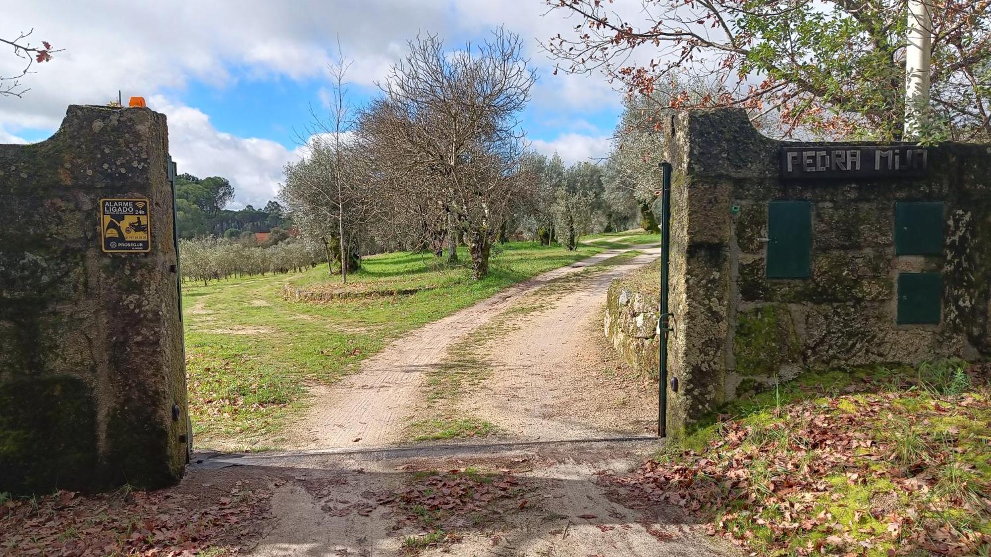Quinta Da Pedra Mija Pensionat Santar Exteriör bild