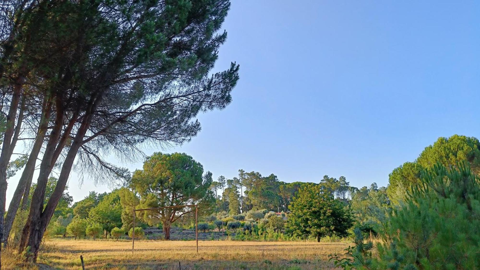 Quinta Da Pedra Mija Pensionat Santar Exteriör bild