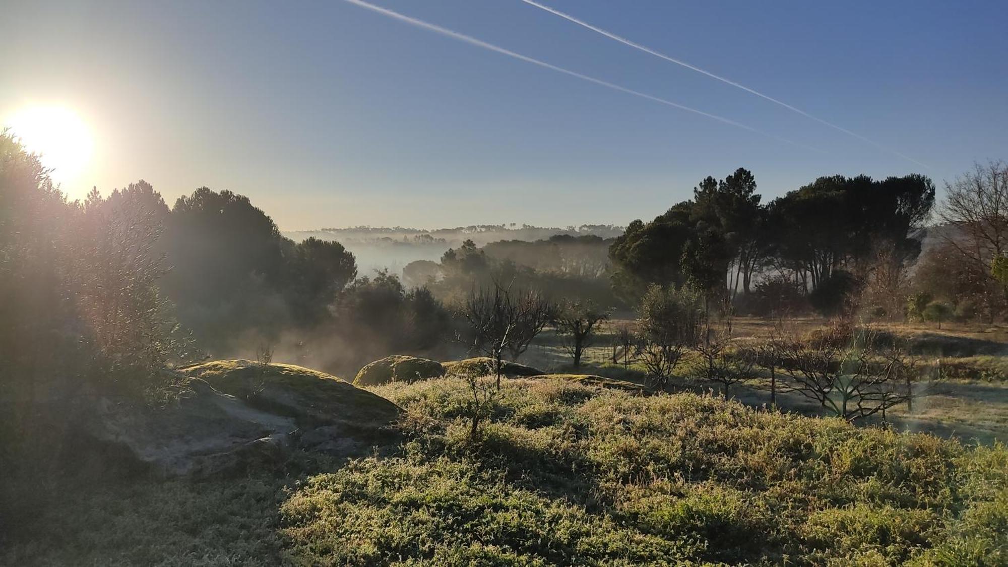 Quinta Da Pedra Mija Pensionat Santar Exteriör bild