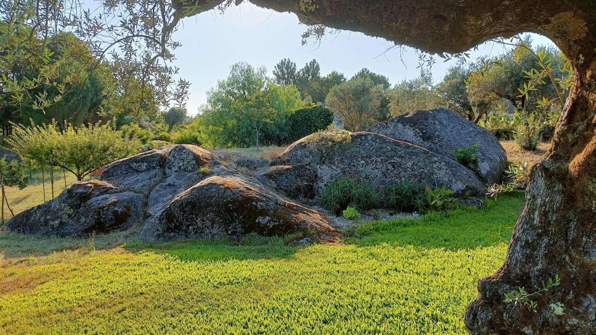 Quinta Da Pedra Mija Pensionat Santar Exteriör bild