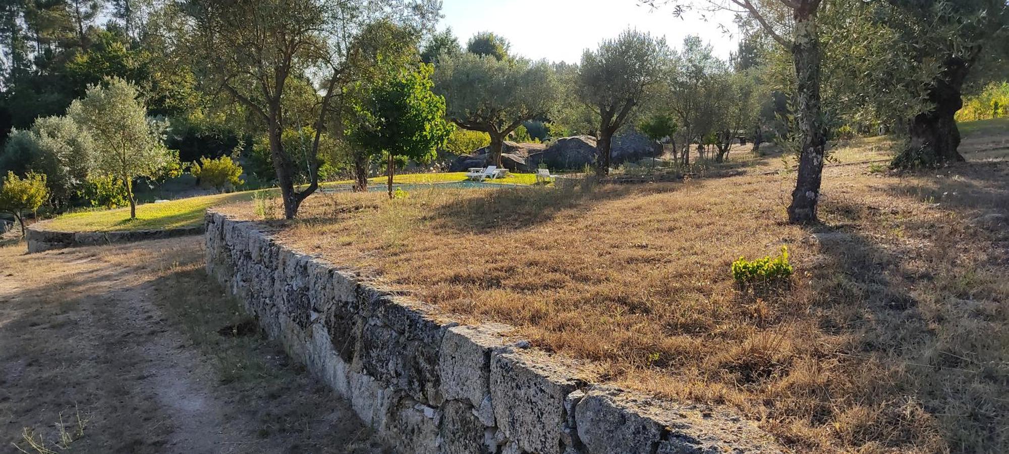 Quinta Da Pedra Mija Pensionat Santar Exteriör bild