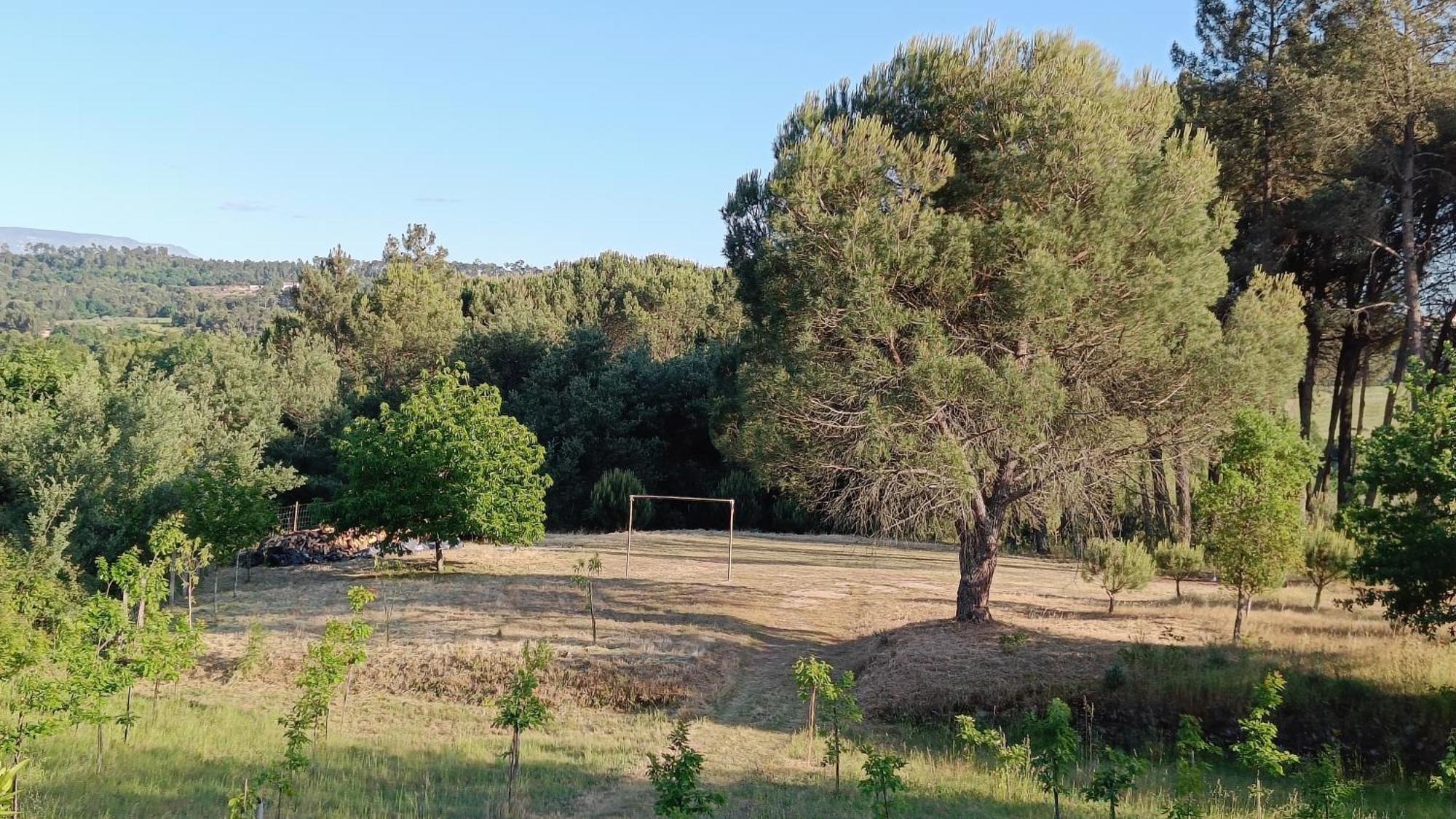 Quinta Da Pedra Mija Pensionat Santar Exteriör bild