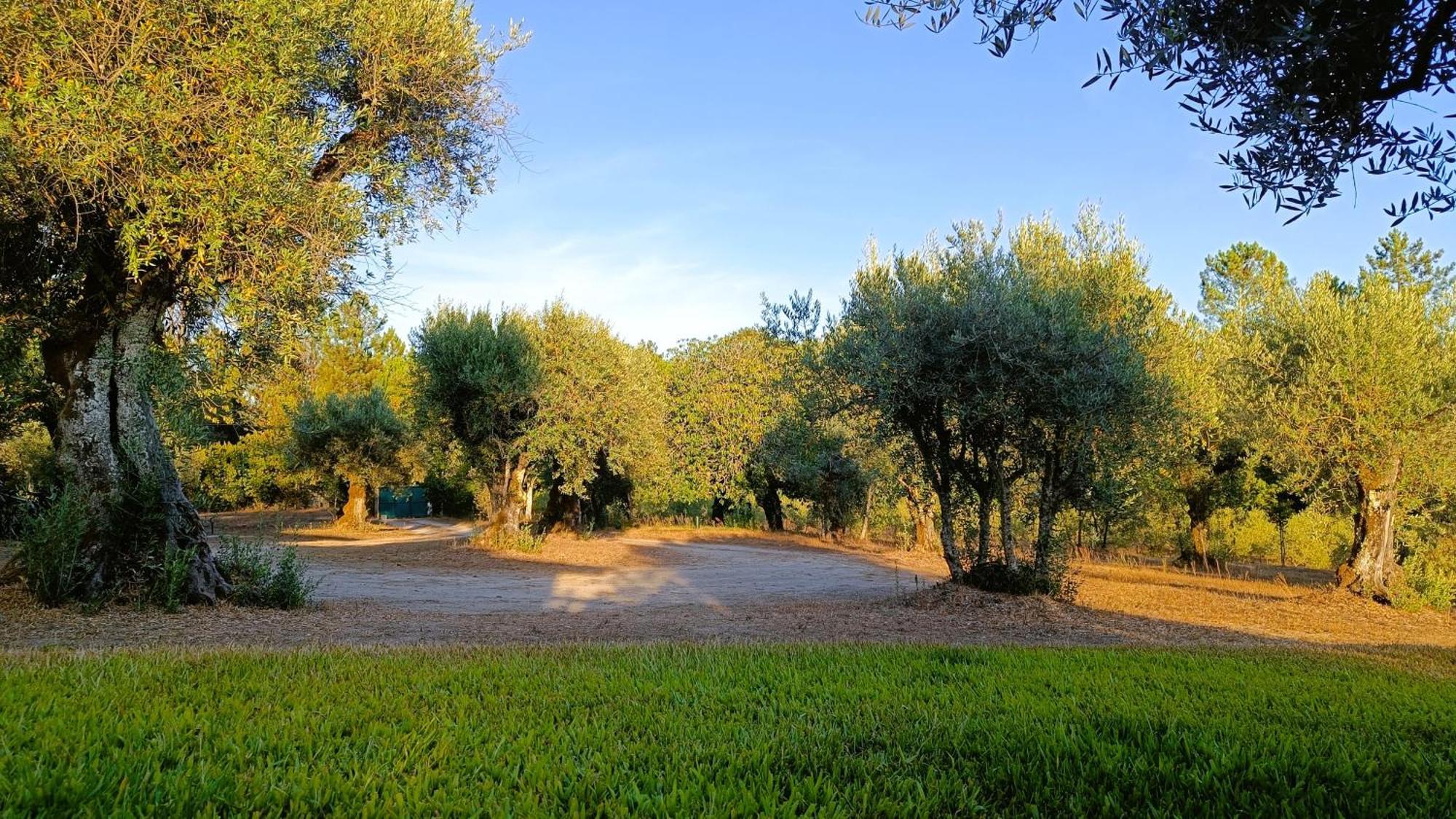 Quinta Da Pedra Mija Pensionat Santar Exteriör bild