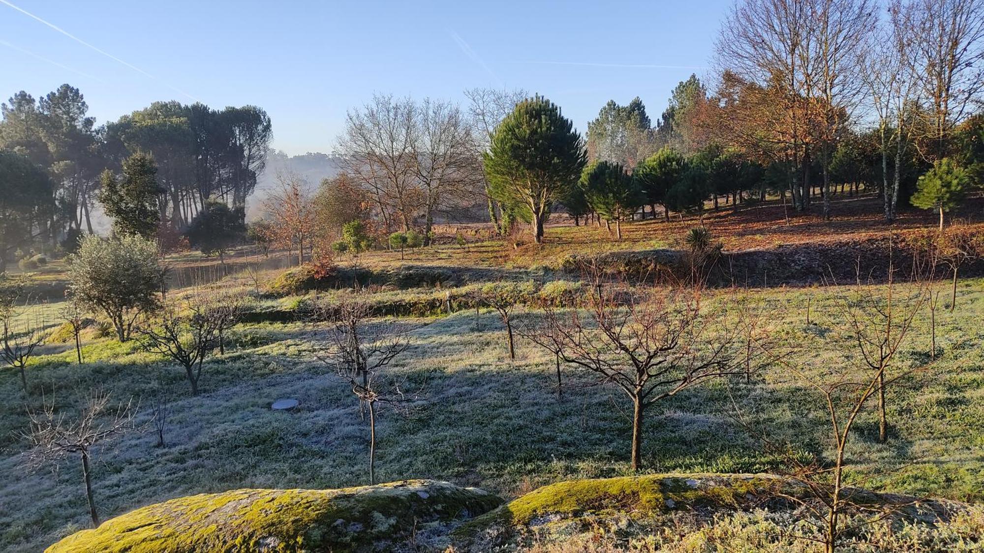 Quinta Da Pedra Mija Pensionat Santar Exteriör bild