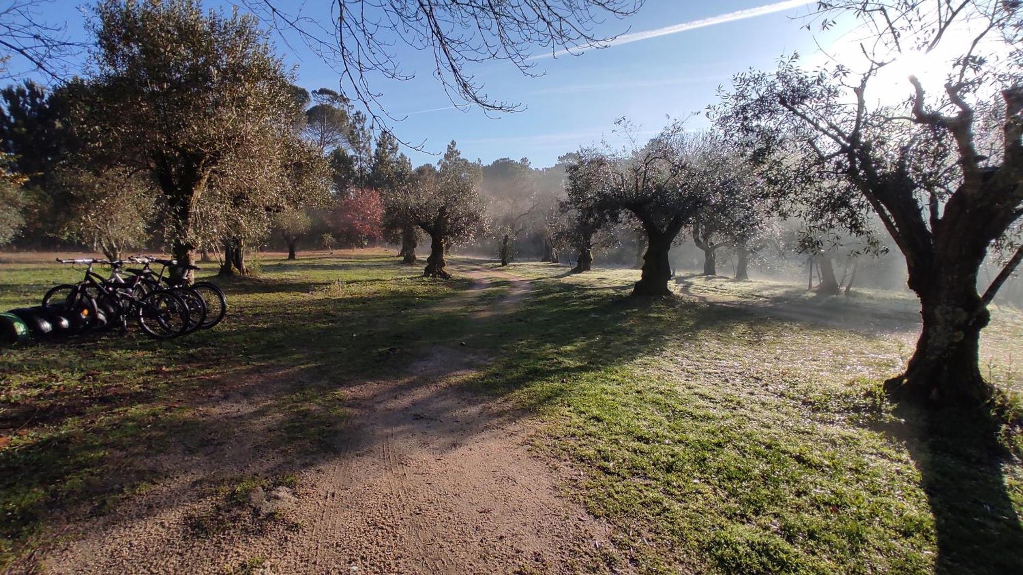Quinta Da Pedra Mija Pensionat Santar Exteriör bild