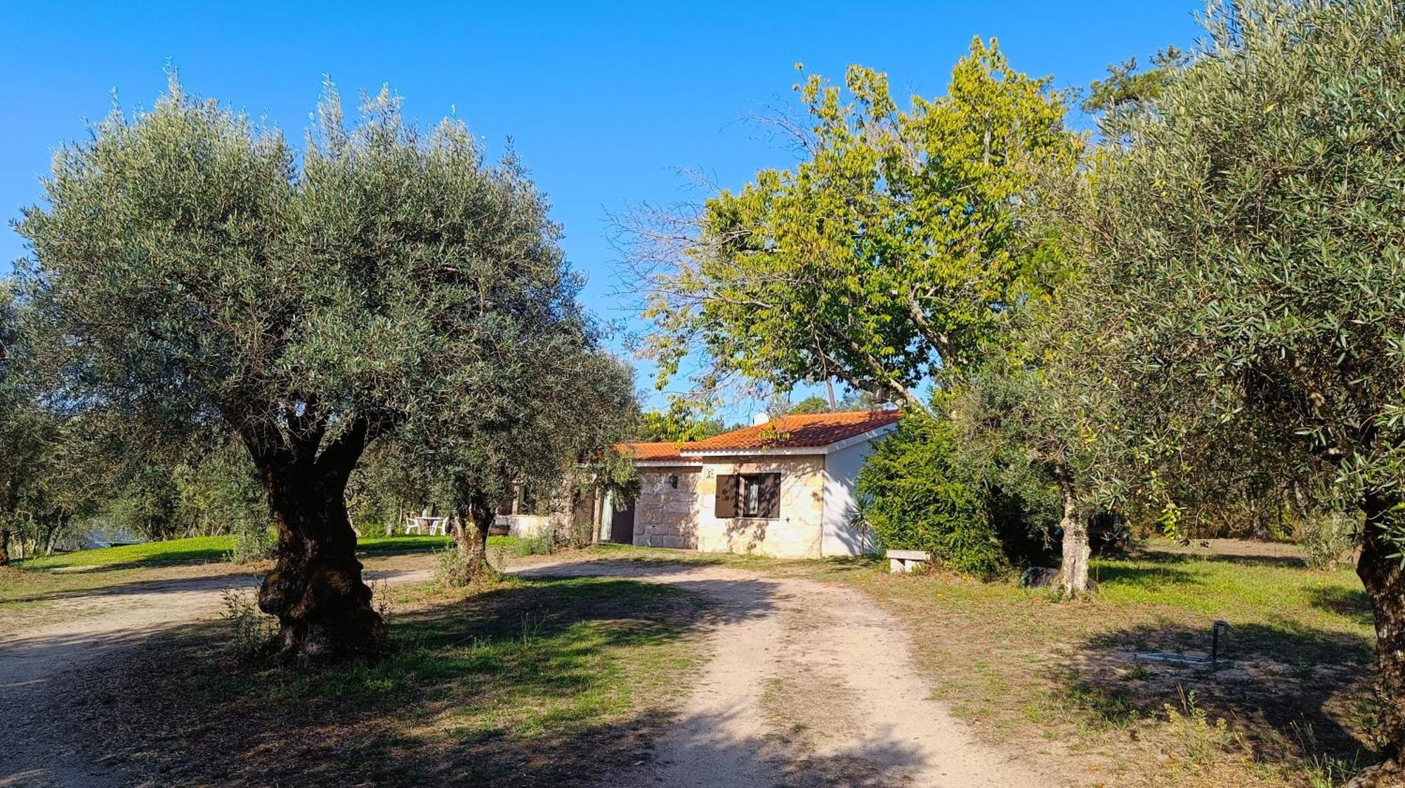 Quinta Da Pedra Mija Pensionat Santar Exteriör bild