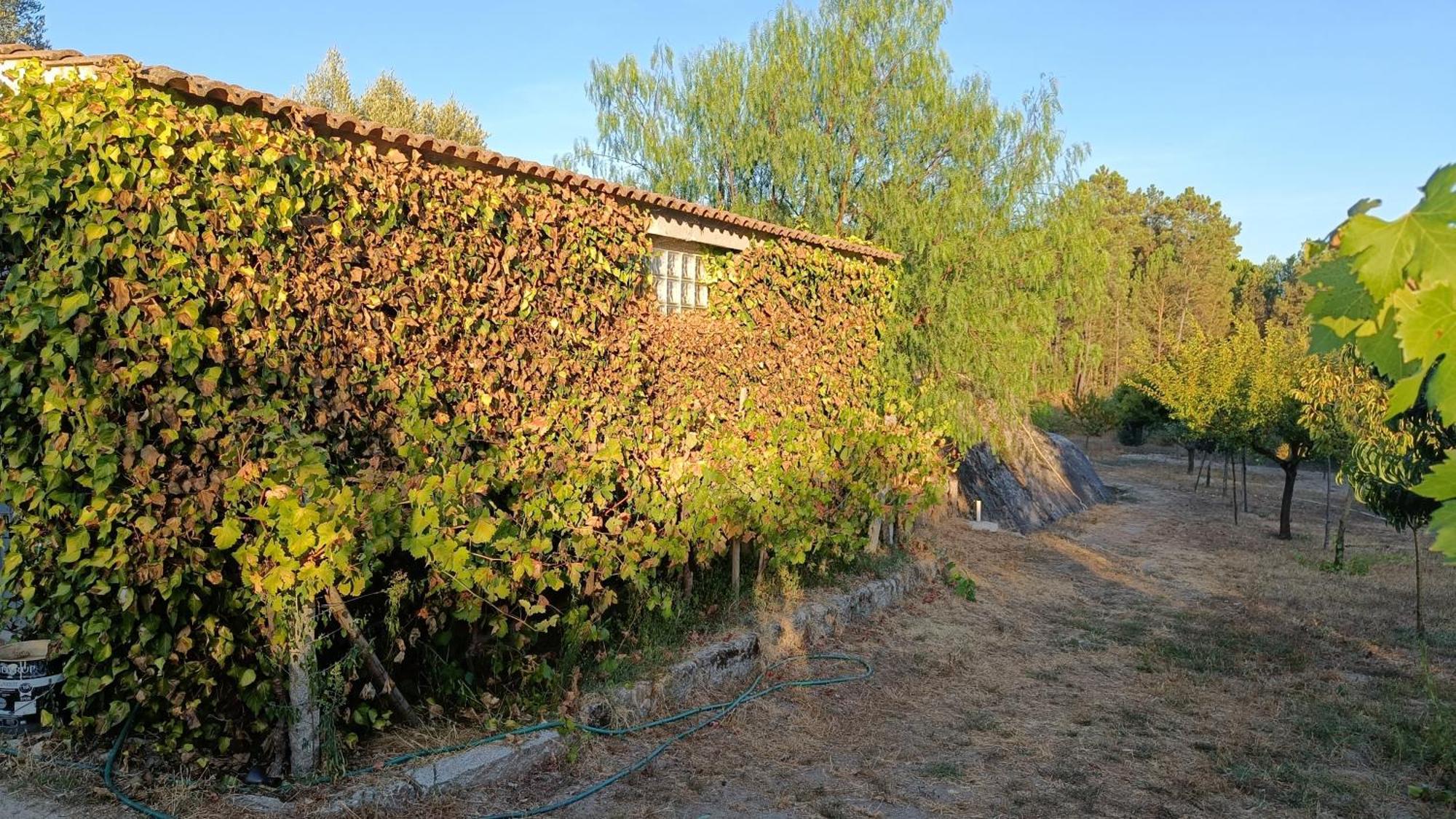 Quinta Da Pedra Mija Pensionat Santar Exteriör bild