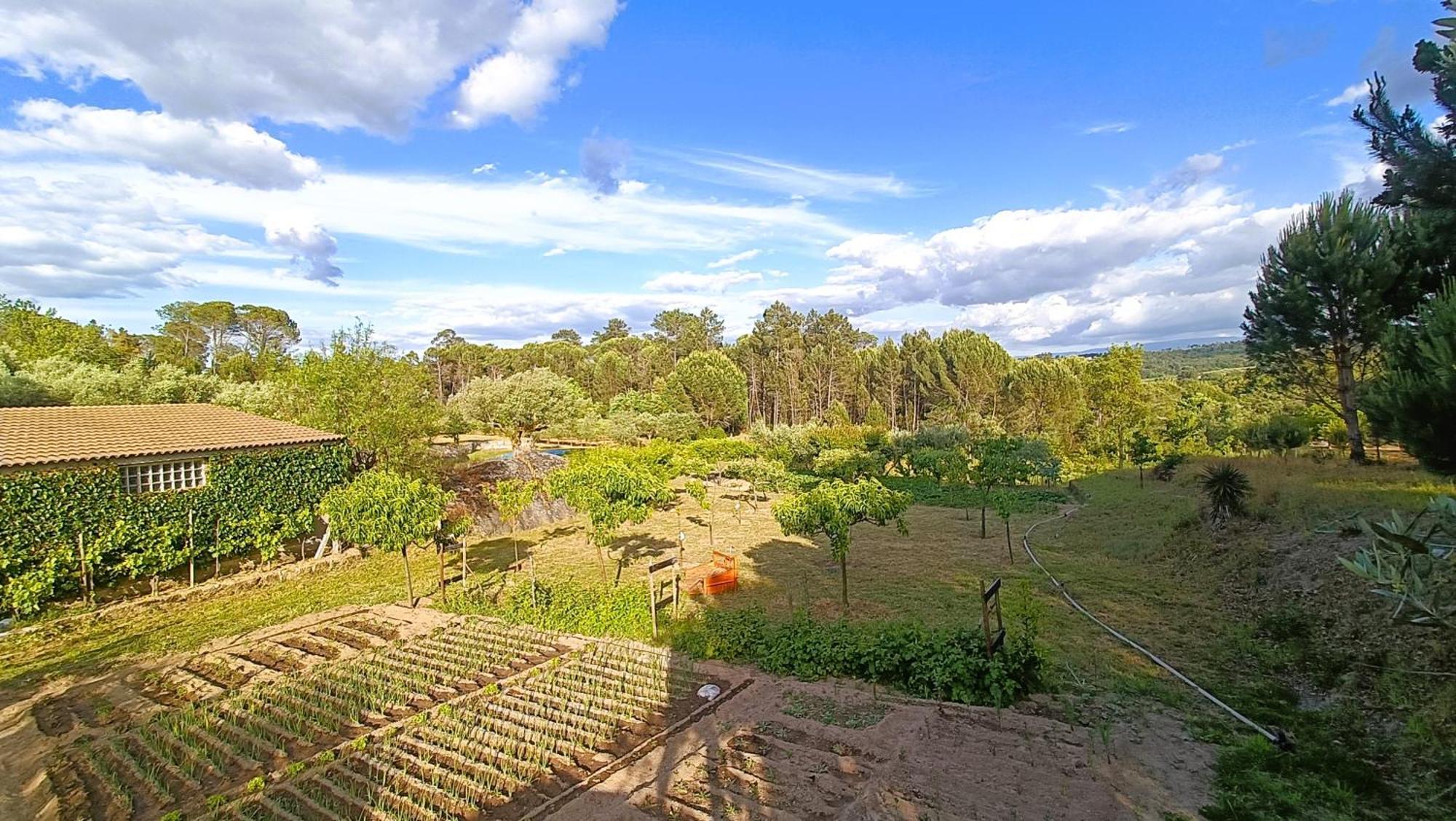 Quinta Da Pedra Mija Pensionat Santar Exteriör bild