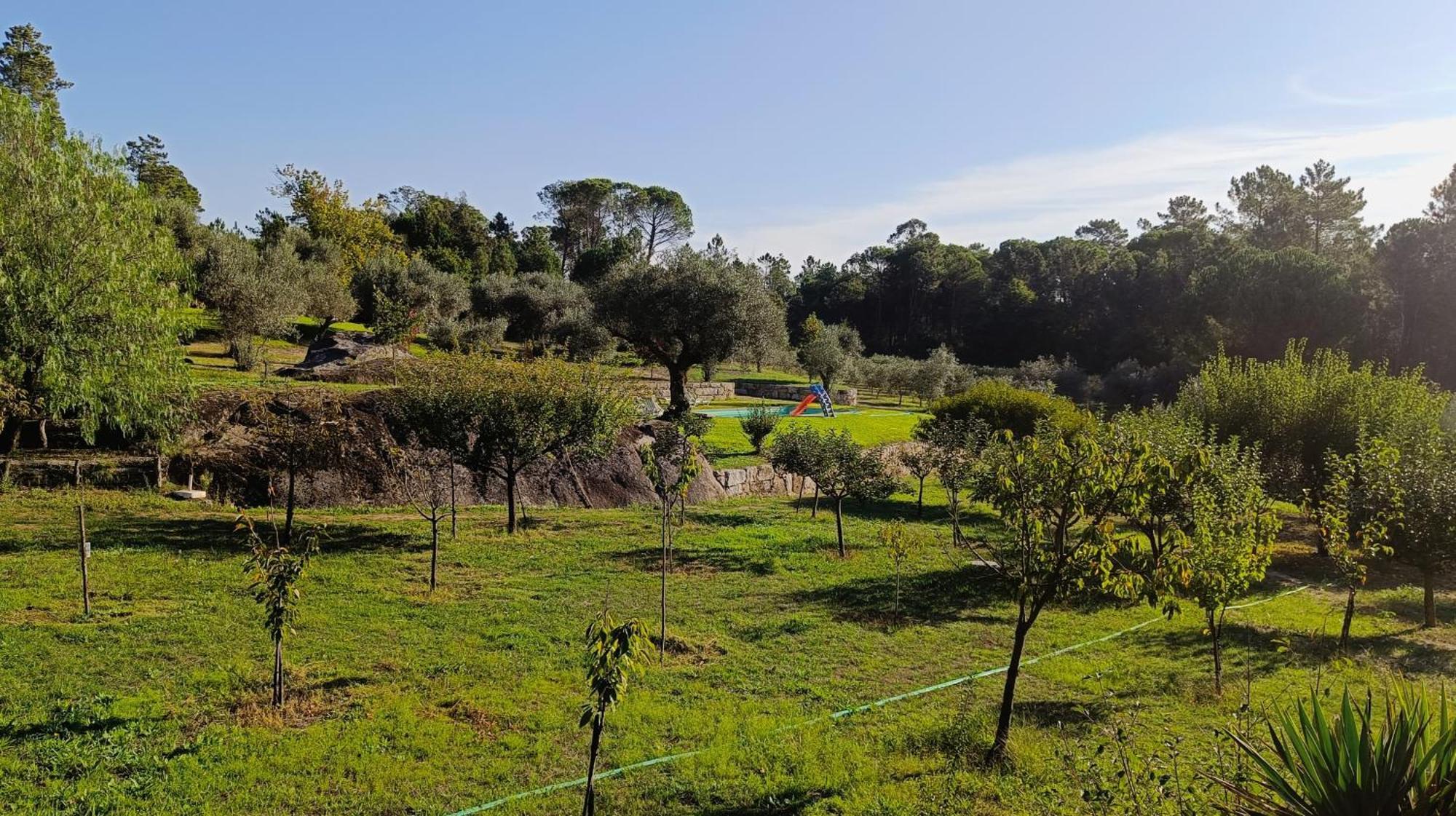 Quinta Da Pedra Mija Pensionat Santar Exteriör bild