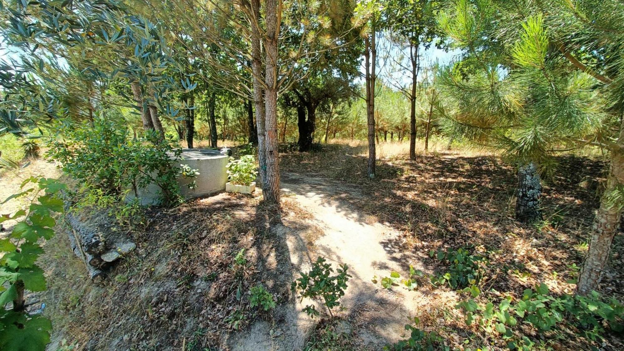 Quinta Da Pedra Mija Pensionat Santar Exteriör bild