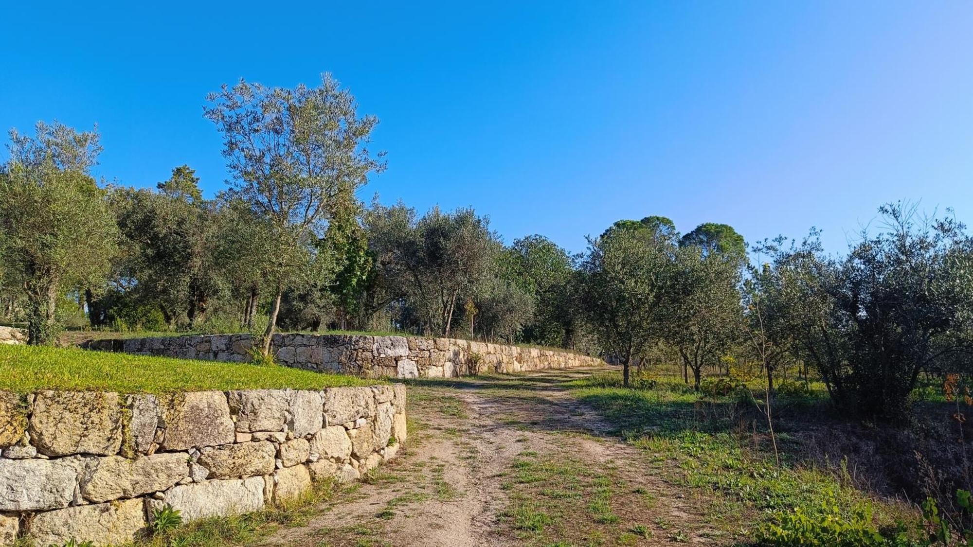 Quinta Da Pedra Mija Pensionat Santar Exteriör bild
