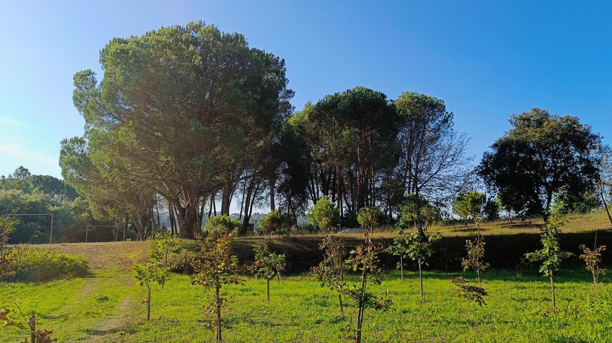 Quinta Da Pedra Mija Pensionat Santar Exteriör bild