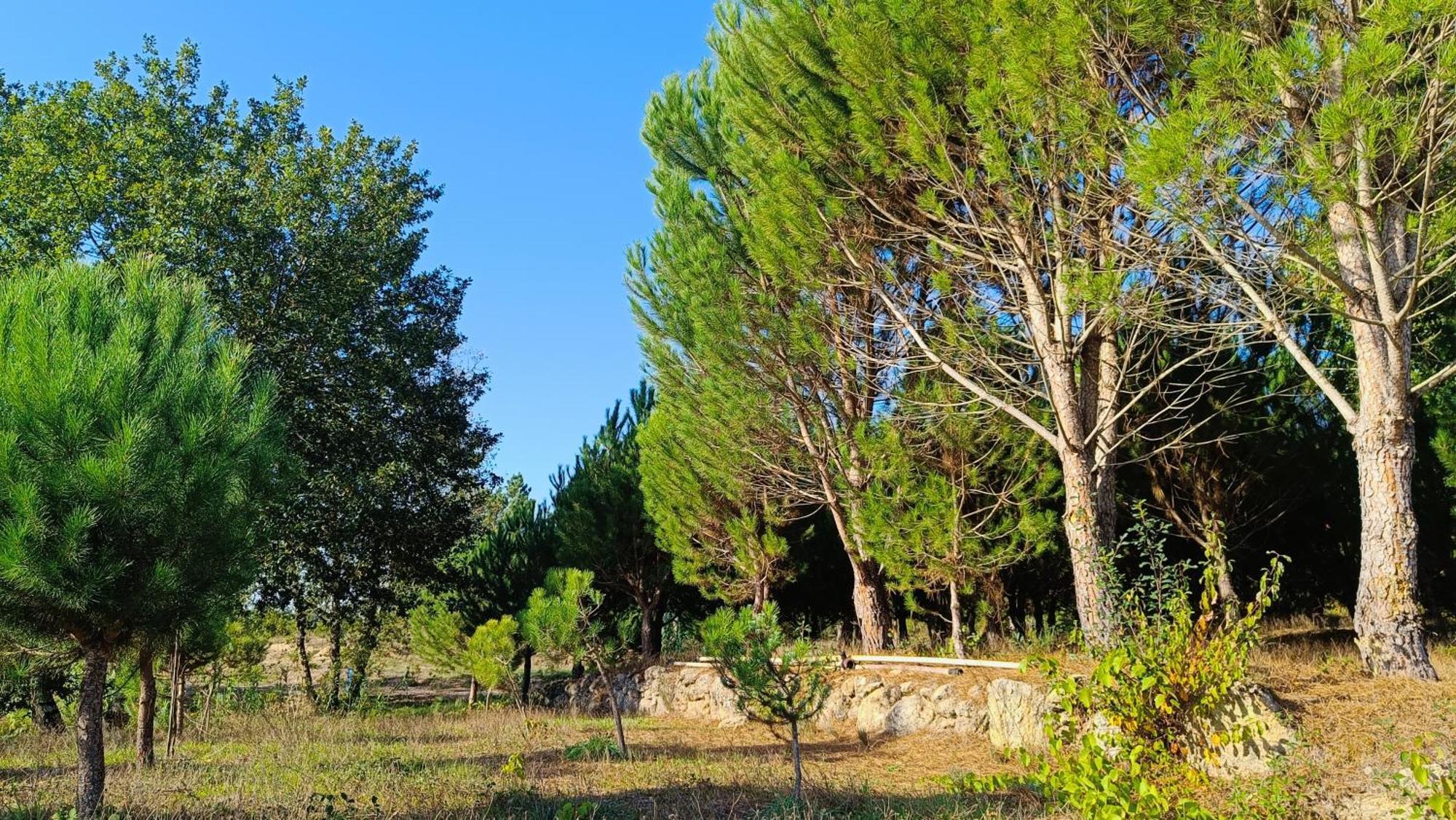 Quinta Da Pedra Mija Pensionat Santar Exteriör bild