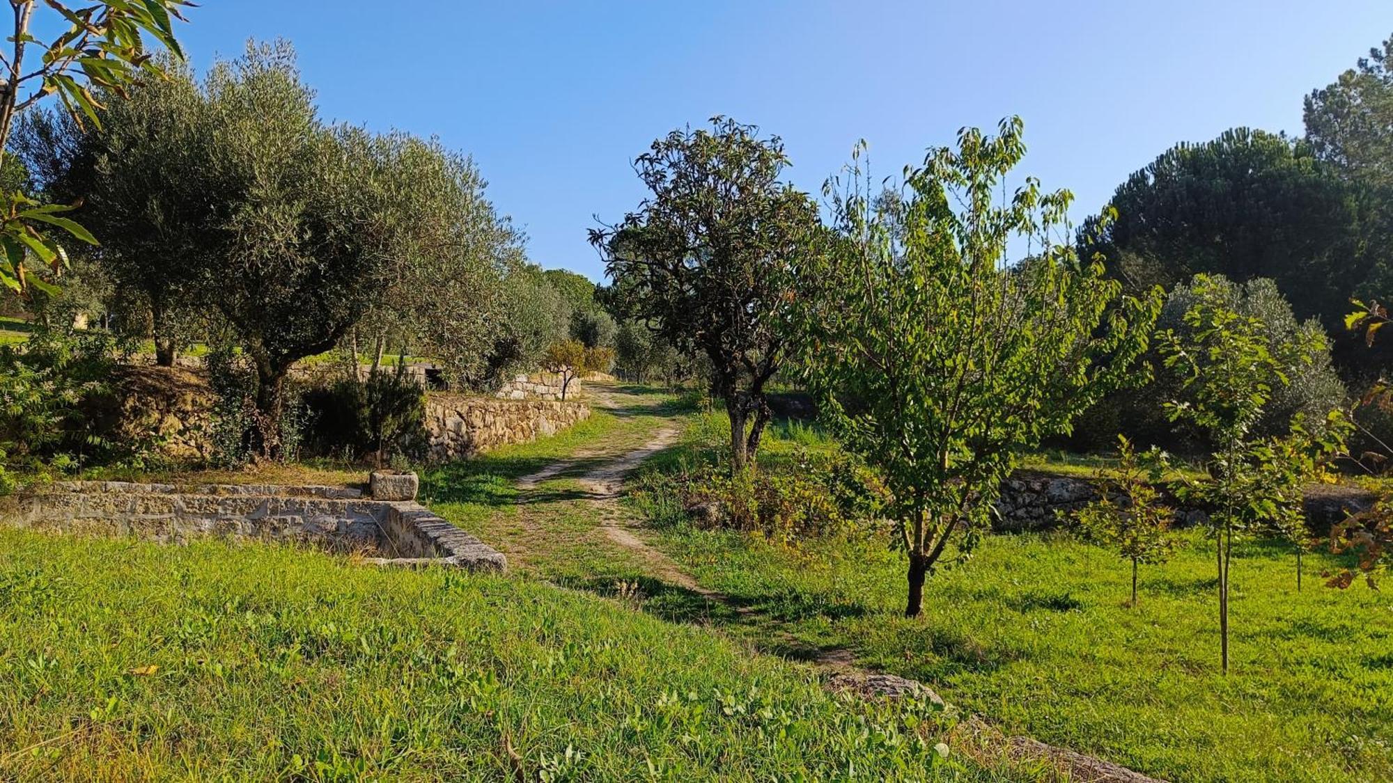 Quinta Da Pedra Mija Pensionat Santar Exteriör bild