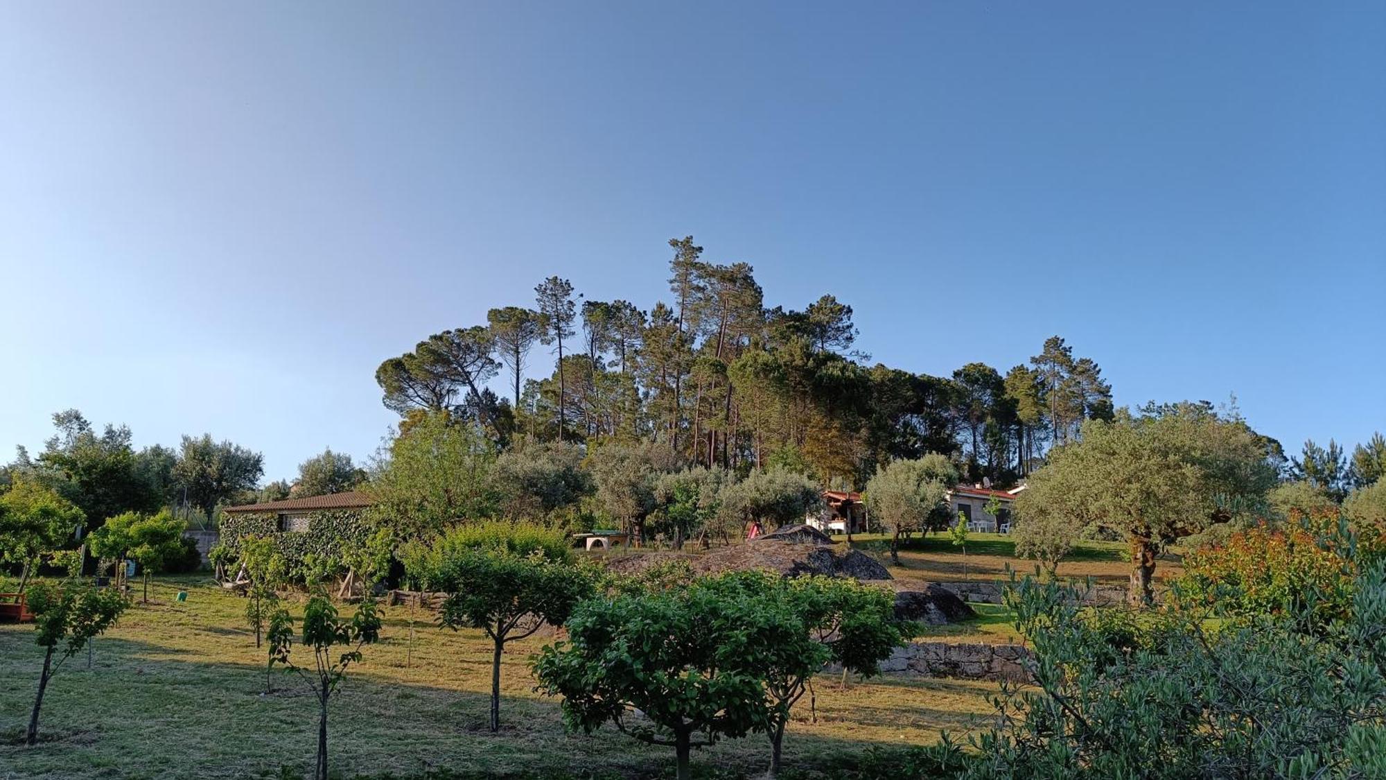Quinta Da Pedra Mija Pensionat Santar Exteriör bild