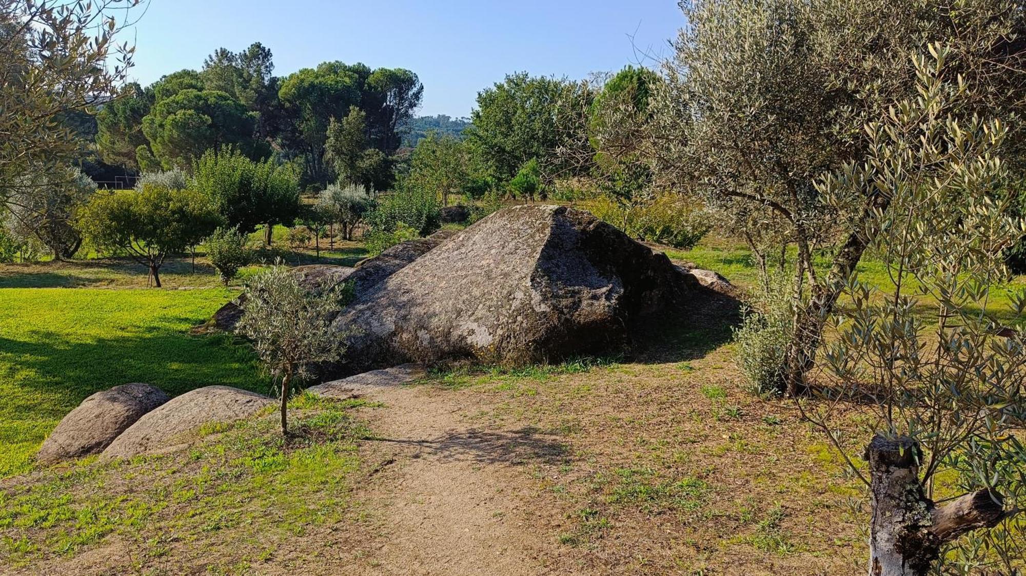 Quinta Da Pedra Mija Pensionat Santar Exteriör bild