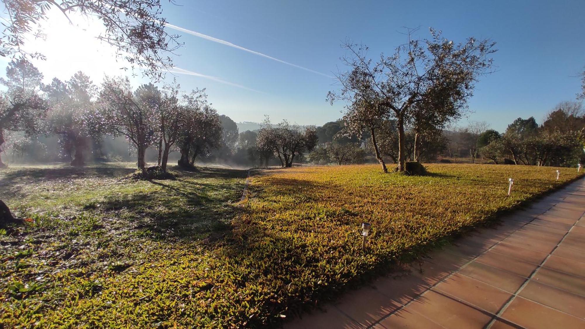 Quinta Da Pedra Mija Pensionat Santar Exteriör bild