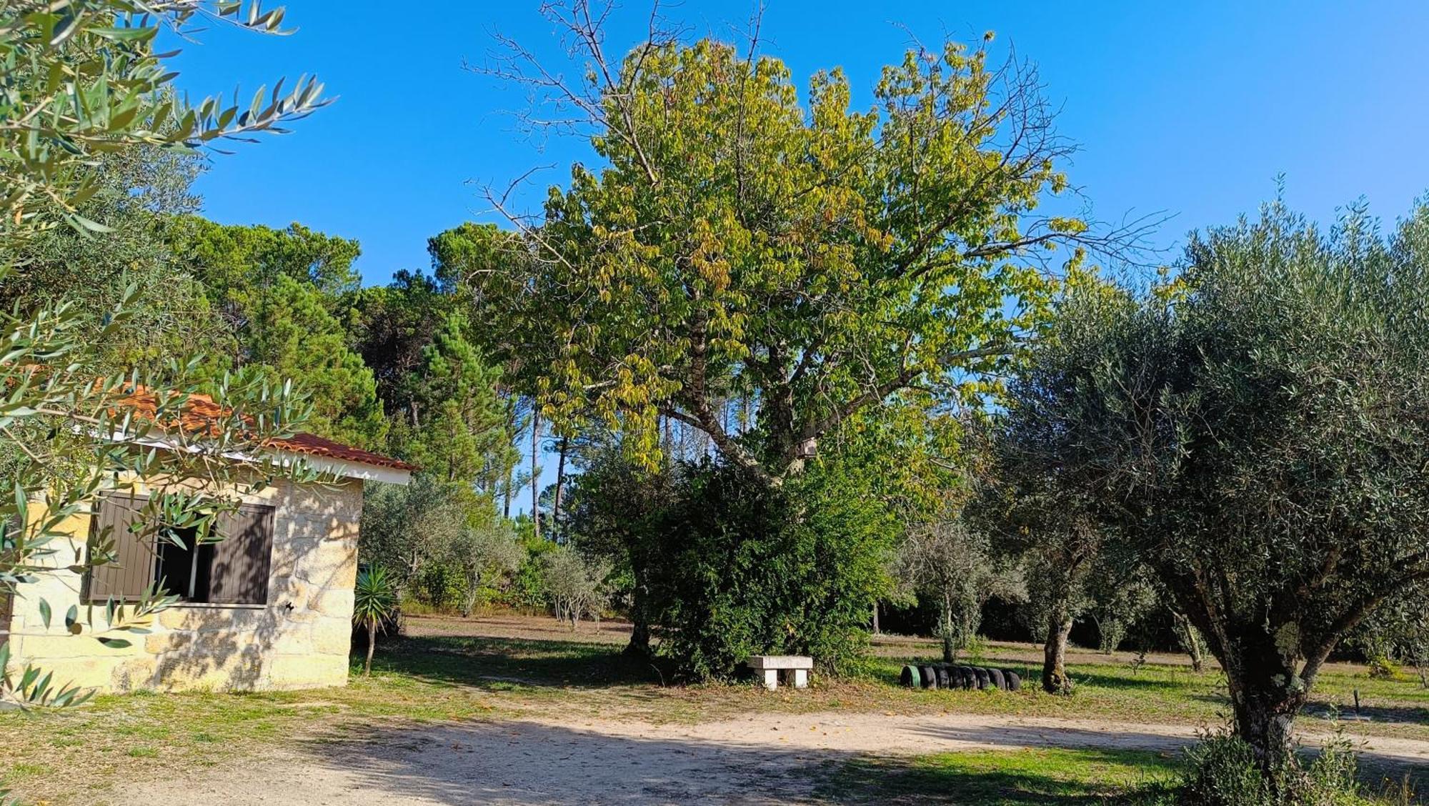 Quinta Da Pedra Mija Pensionat Santar Exteriör bild