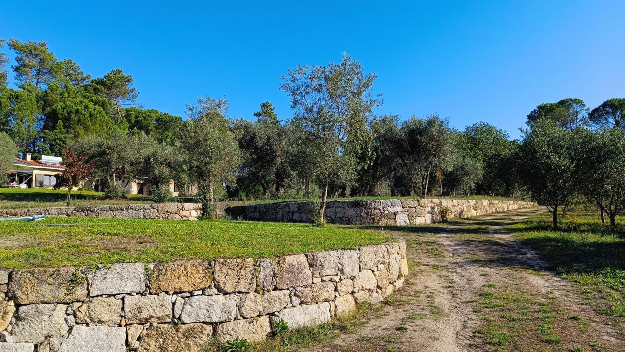 Quinta Da Pedra Mija Pensionat Santar Exteriör bild