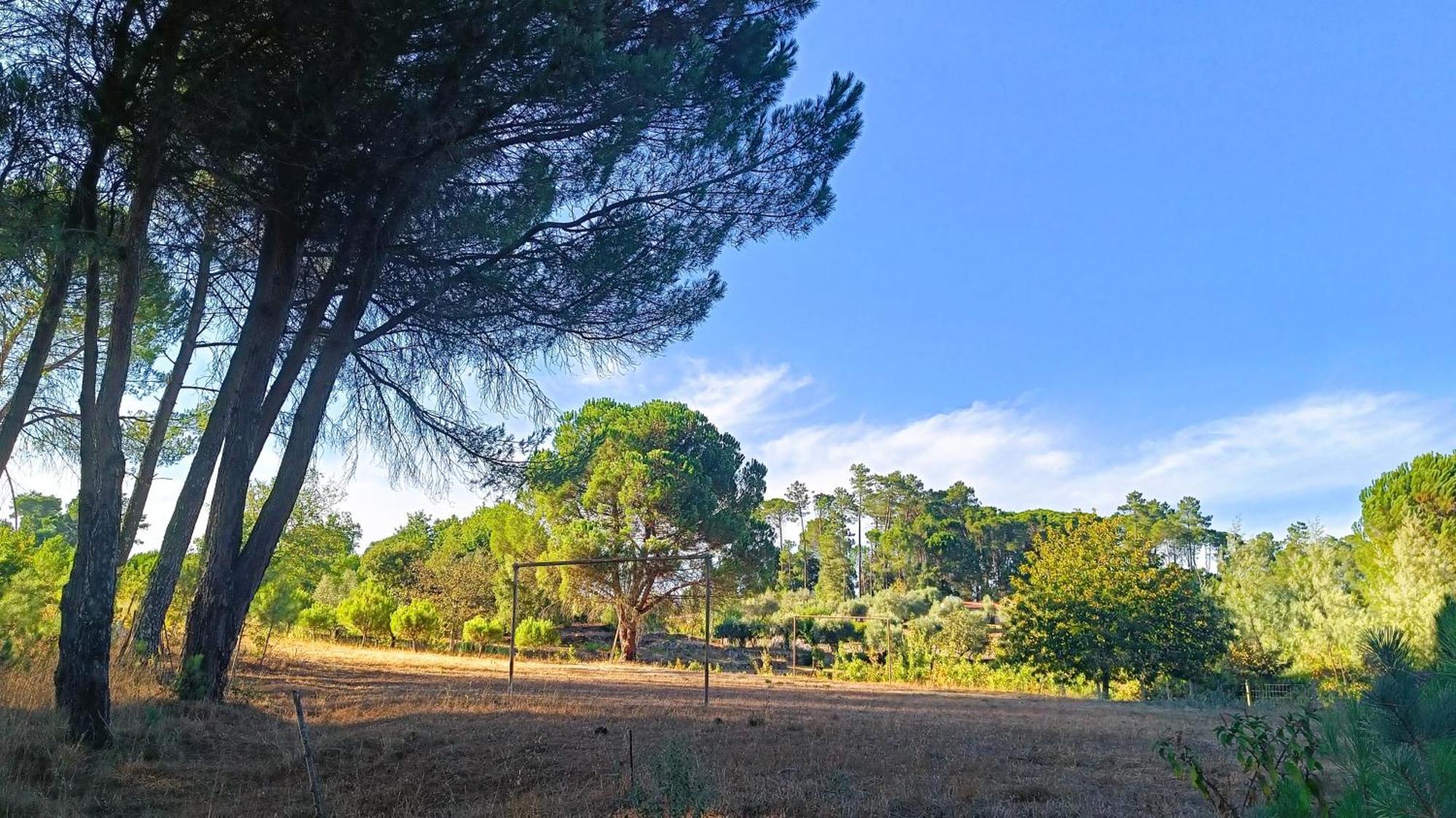 Quinta Da Pedra Mija Pensionat Santar Exteriör bild