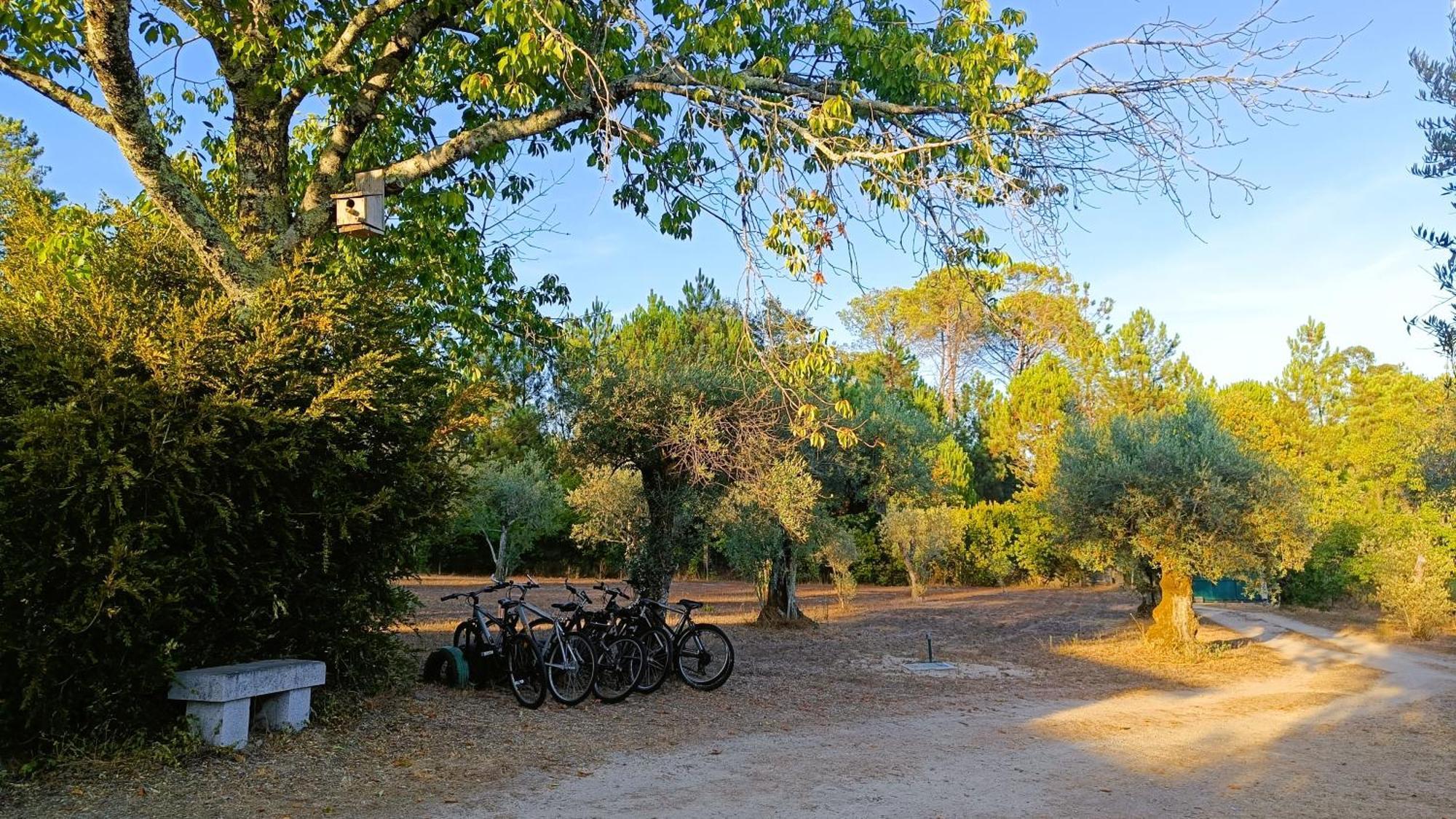 Quinta Da Pedra Mija Pensionat Santar Exteriör bild