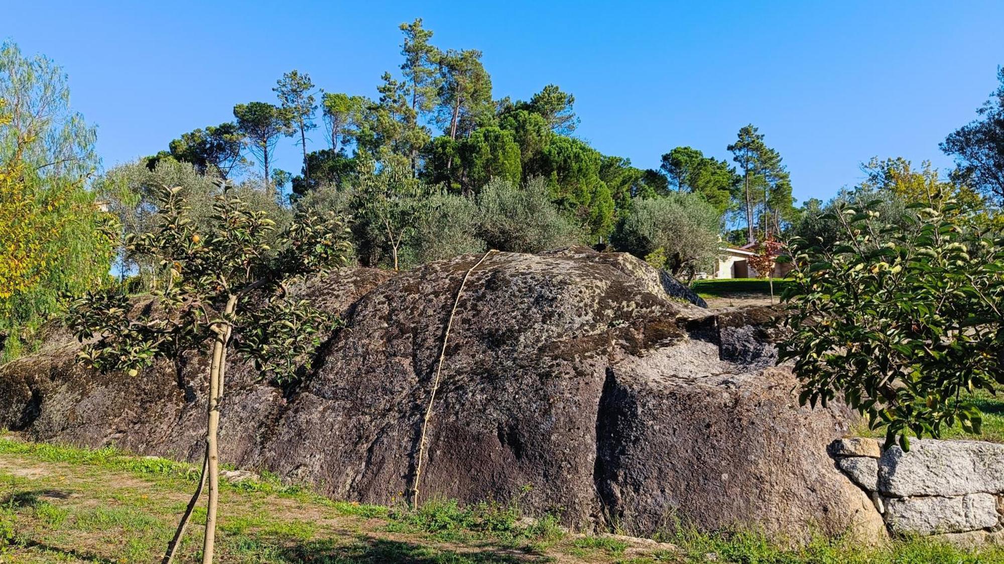 Quinta Da Pedra Mija Pensionat Santar Exteriör bild