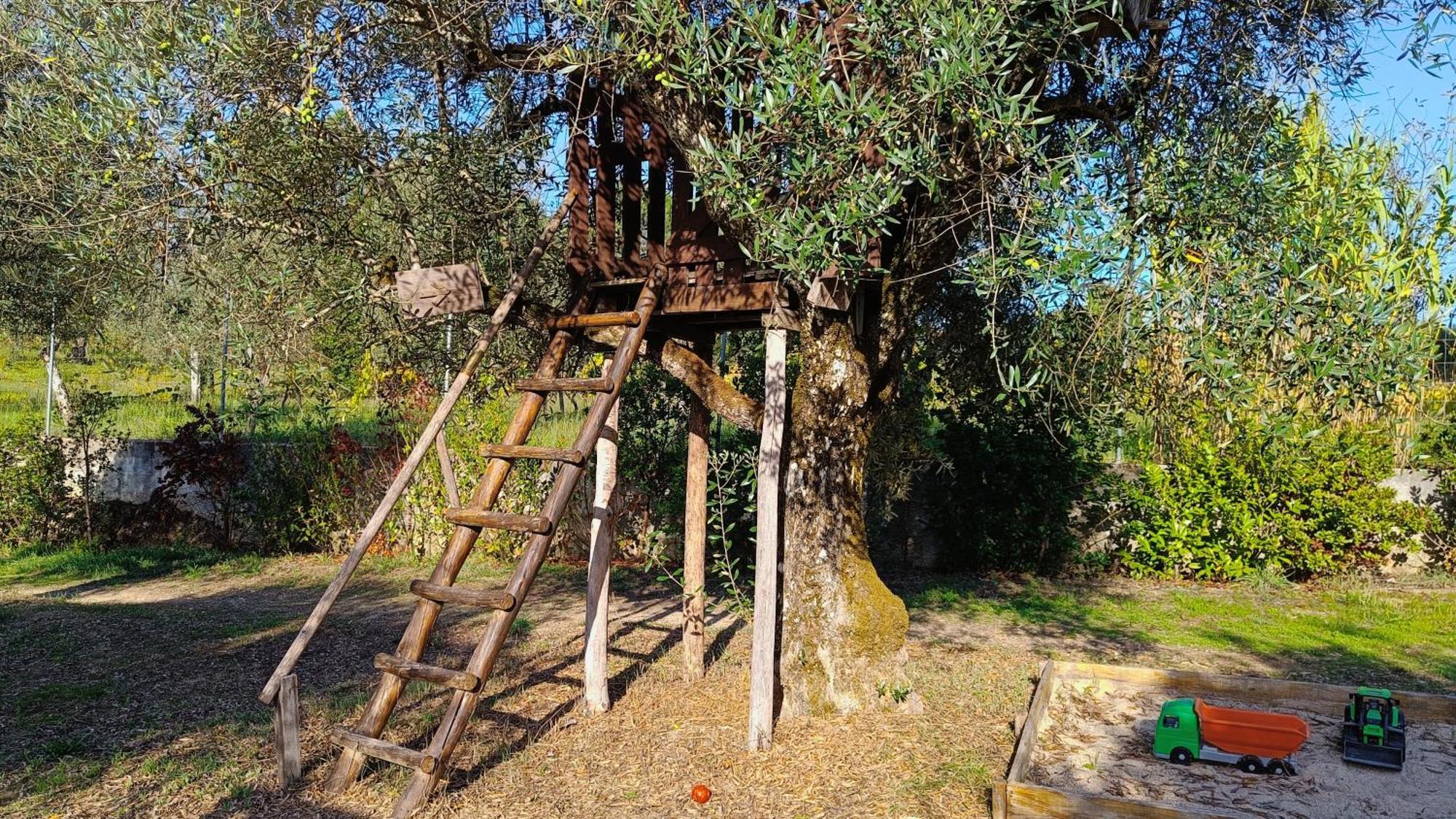 Quinta Da Pedra Mija Pensionat Santar Exteriör bild