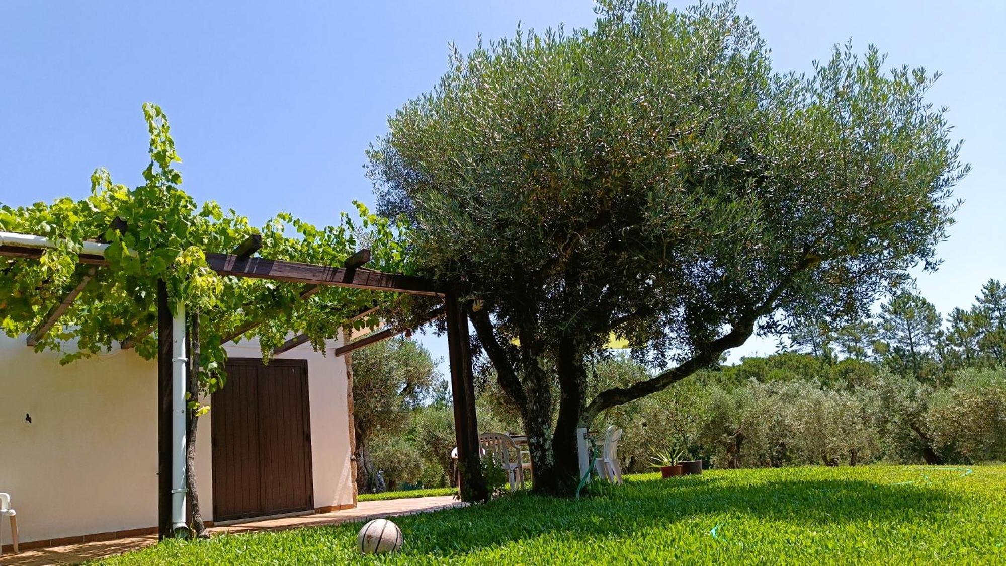 Quinta Da Pedra Mija Pensionat Santar Exteriör bild