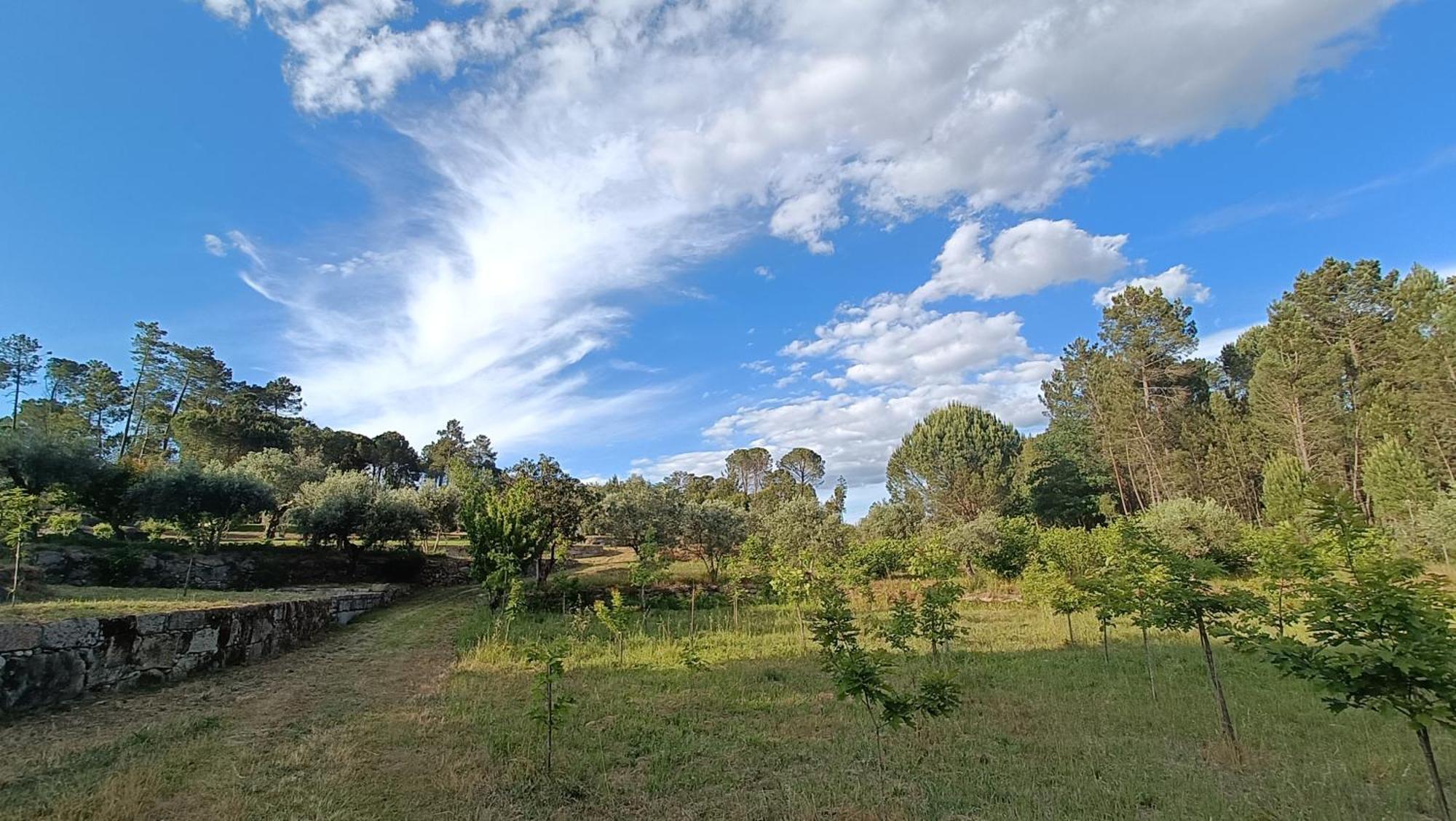 Quinta Da Pedra Mija Pensionat Santar Exteriör bild