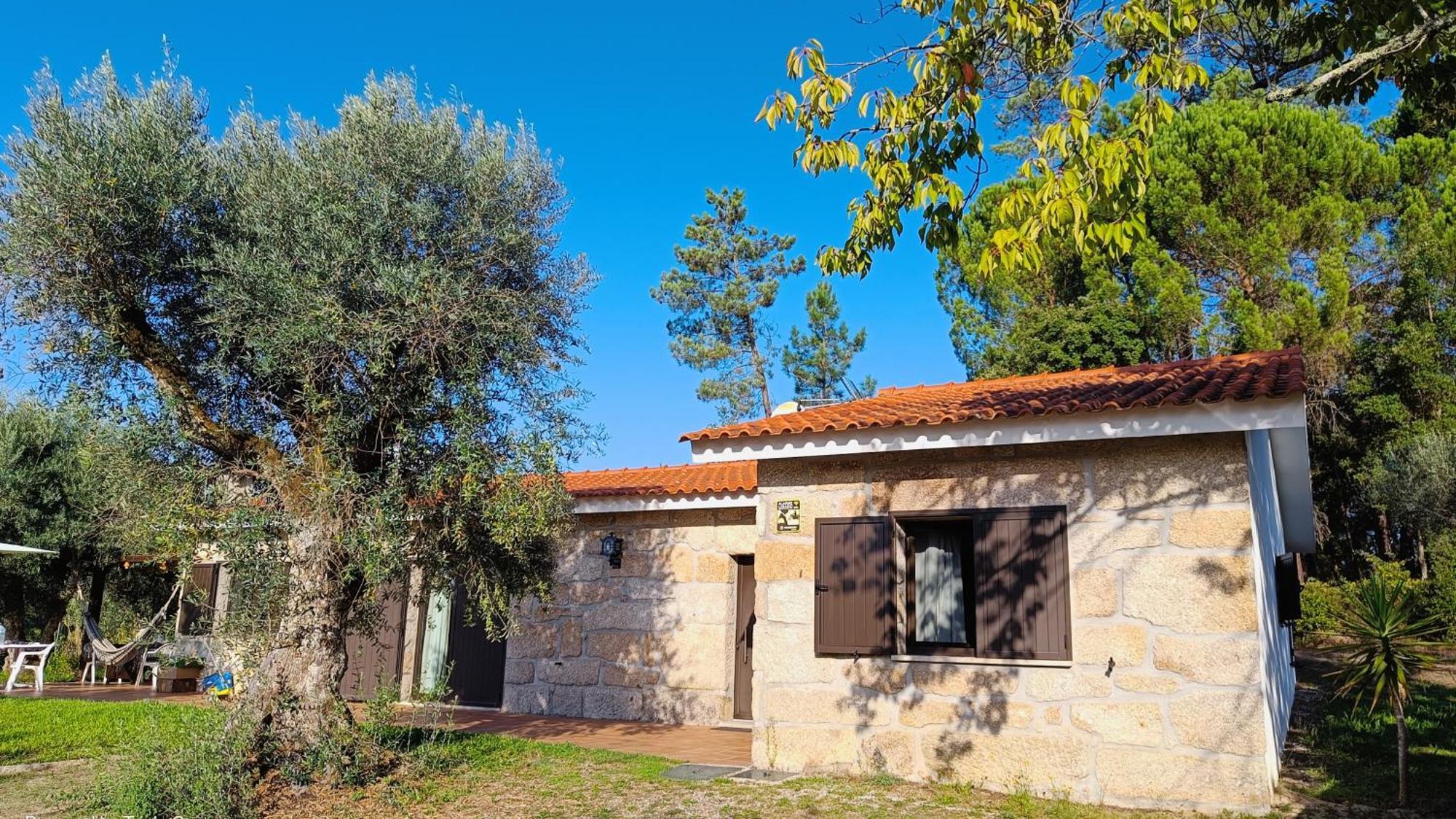 Quinta Da Pedra Mija Pensionat Santar Exteriör bild