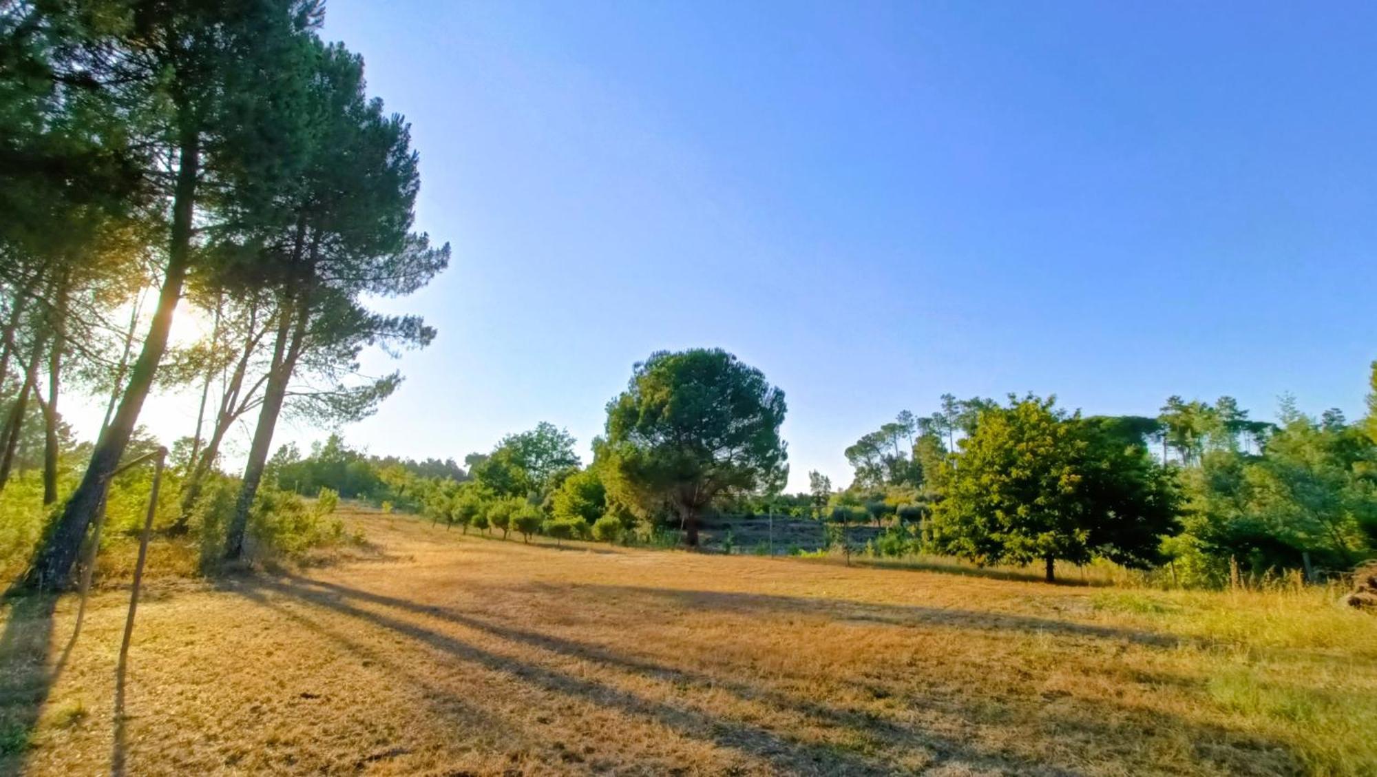 Quinta Da Pedra Mija Pensionat Santar Exteriör bild