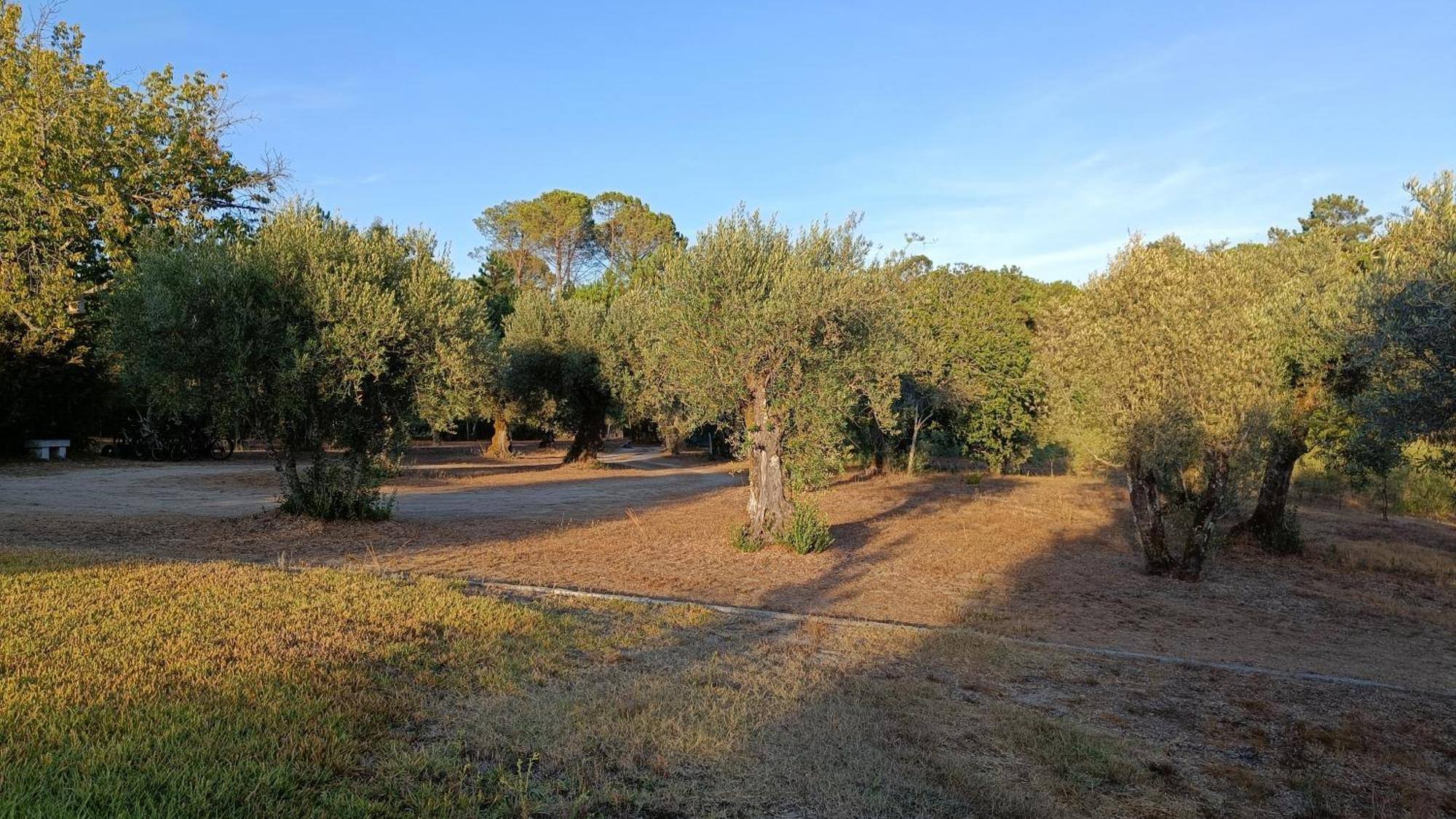 Quinta Da Pedra Mija Pensionat Santar Exteriör bild