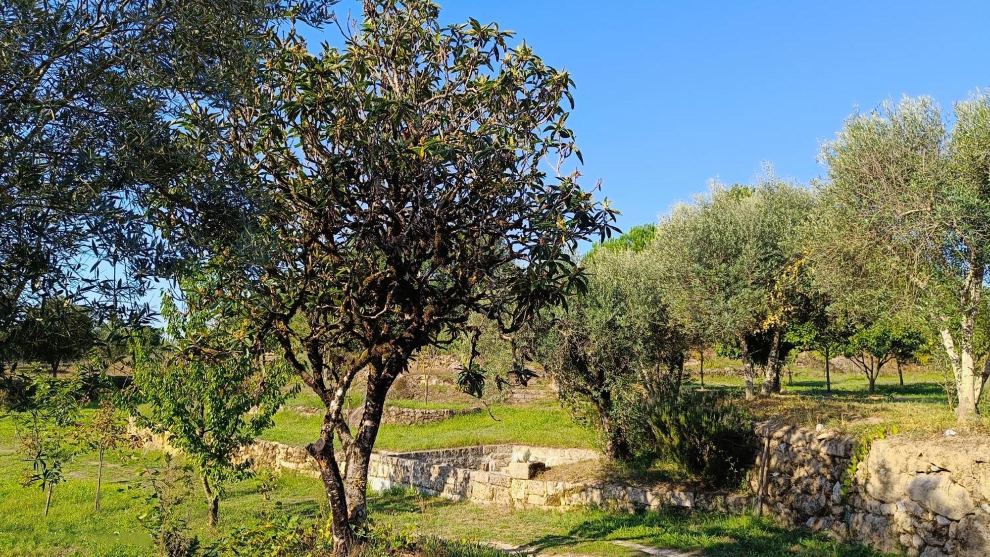 Quinta Da Pedra Mija Pensionat Santar Exteriör bild
