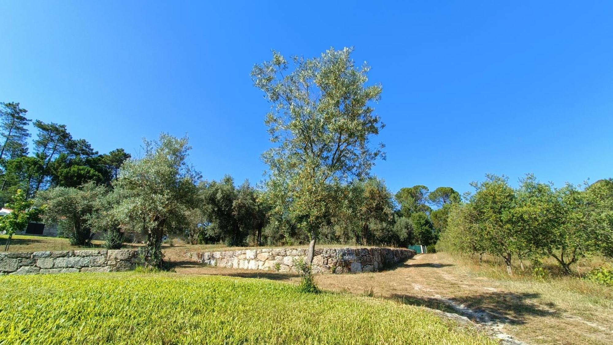 Quinta Da Pedra Mija Pensionat Santar Exteriör bild